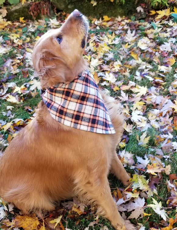 Pumpkin Plaid Reversible Dog Scarf