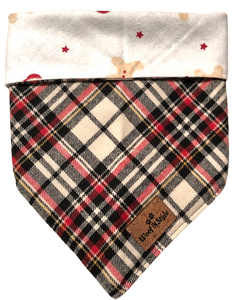 Jolly Reversible Dog Scarf