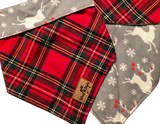 Scarlet Holiday Reversible Dog Scarf