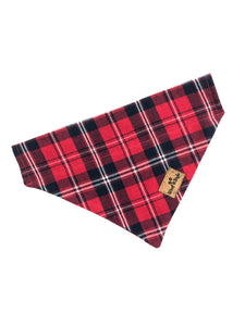 Ollie Dog Collar Bandana