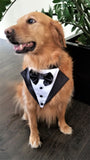 Tuxedo Bandana